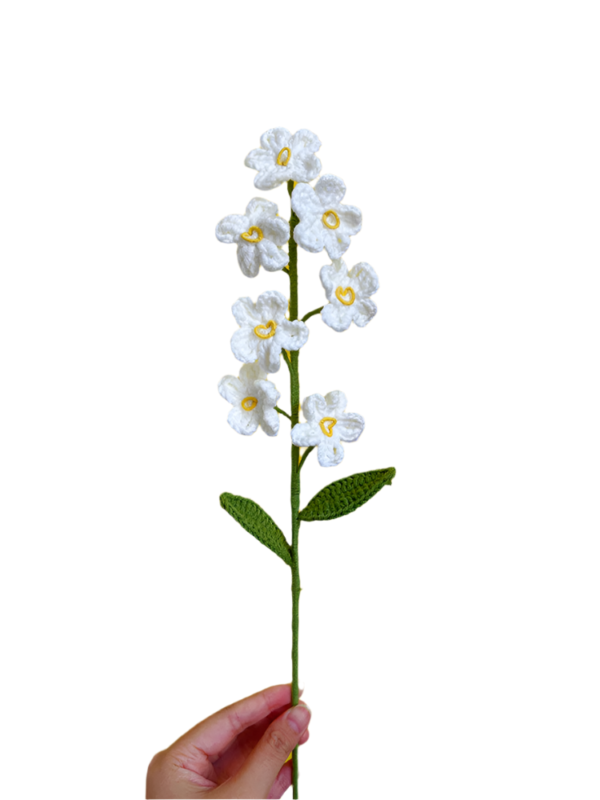 Květiny Bílá pomněnka - Obrázek 2
