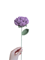 Květiny Fialové ručně držené růže - Obrázek 2