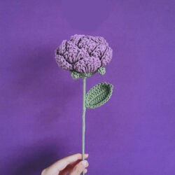 Květiny Fialové ručně držené růže