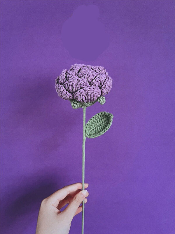 Květiny Fialové ručně držené růže - Obrázek 1