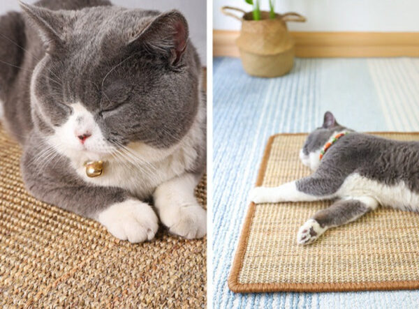 Škrabadlo pro kočky na pohovky S: 30x40 cm - Obrázek 3