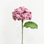 Hortenzie Hortenzie jednoduchá - růžová (hotová)