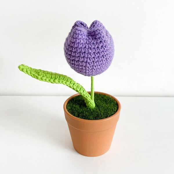 Květina v květináči Fialový tulipán - Obrázek 1