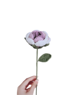 Květiny Fialová vybledlá růže - Obrázek 2