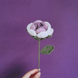 Květiny Fialová vybledlá růže