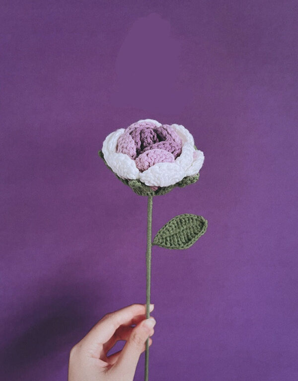 Květiny Fialová vybledlá růže - Obrázek 1