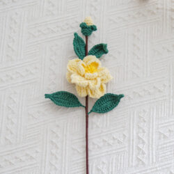 Kamélie Jedna žlutá kamélie (hotová)