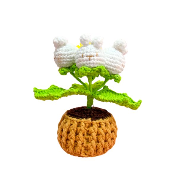 Květina v Květináči Vícehlavá rostlina v květináči (dokončeno) - Obrázek 2