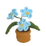 Kvetina v květináči Pomněnková rostlina v květináči - Obrázek 6