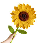 Háčkovaná Slunečnice