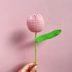 Květiny Světle růžový tulipán