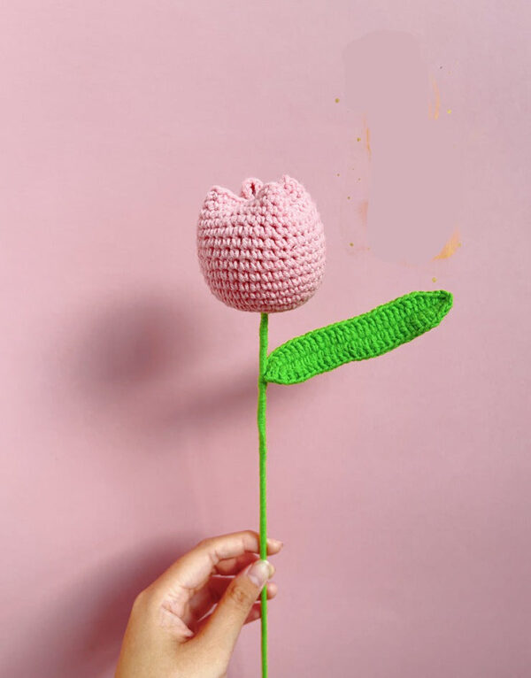 Květiny Světle růžový tulipán - Obrázek 1