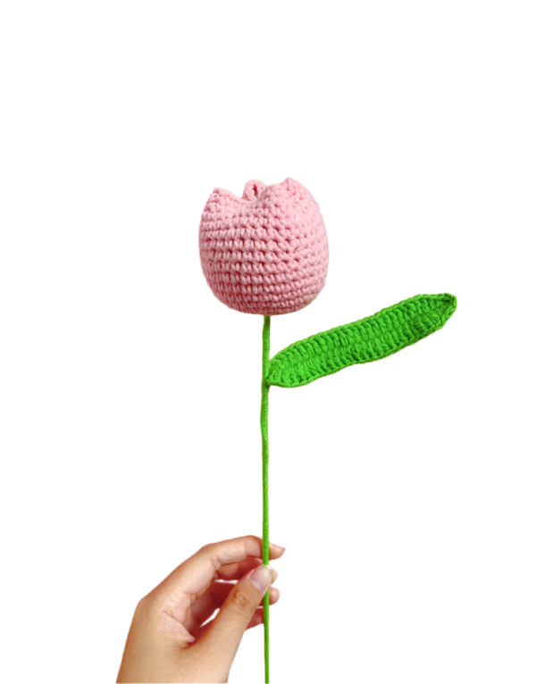 Květiny Světle růžový tulipán - Obrázek 2