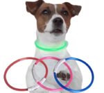 Svíticí obojek pro pejsky - lze zkrátit podle potřeby 35 CM - Obrázek 3