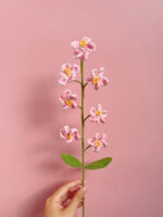 Květiny Růžová Forget-Me-Not