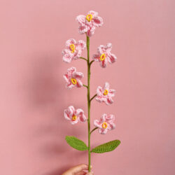 Květiny Růžová Forget-Me-Not