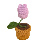 Kvetina v květináči Růže hrnková rostlina - Obrázek 6