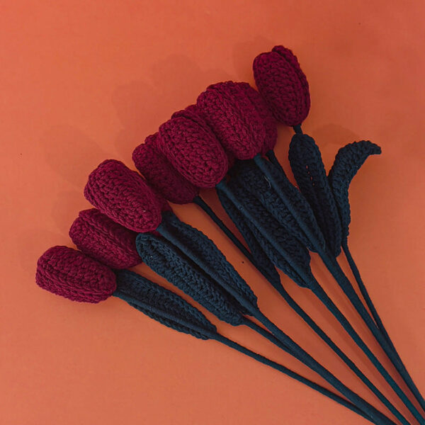 Tulipán Jeden hotový červený tulipán - Obrázek 1