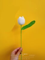 Květiny Bílý buclatý tulipán