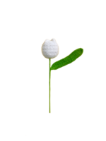 Květiny Bílý buclatý tulipán - Obrázek 2