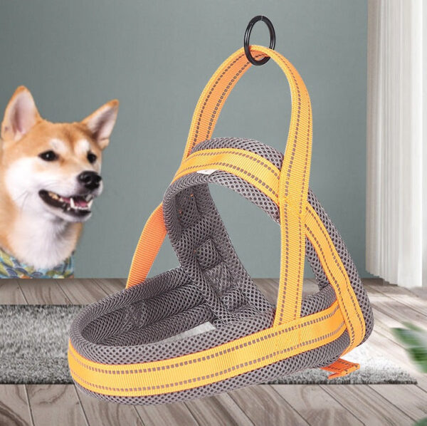 Postroj XL 80-92 cm - Obrázek 2