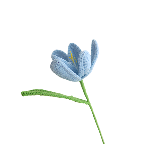 Kvetina kvetoucí tulipány Jeden hotový světle modrý kvetoucí tulipán - Obrázek 5