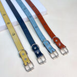 Kožený obojek pro psy s tlapkami 2.5cm, délka 50cm - Obrázek 2