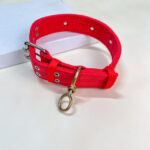 Široký obojek 40-53 cm - Obrázek 8