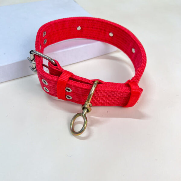 Široký obojek 40-53 cm - Obrázek 8