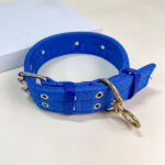 Široký obojek 40-53 cm - Obrázek 5