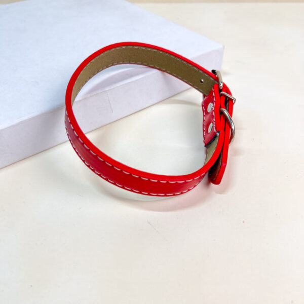 Kožený obojek 2x34-40 cm - Obrázek 8