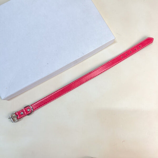 Kožený obojek 2x34-40 cm - Obrázek 6