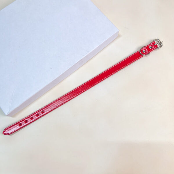 Kožený obojek 2x34-40 cm - Obrázek 10