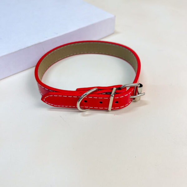 Kožený obojek 2x34-40 cm - Obrázek 9