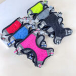 Postroj pro zviřata L - Obrázek 2