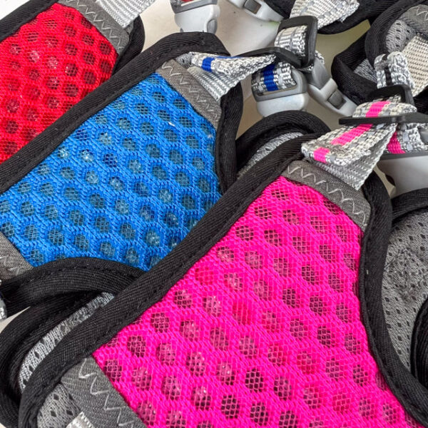 Postroj pro zviřata L - Obrázek 3