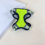 Postroj pro zviřata L - Obrázek 4