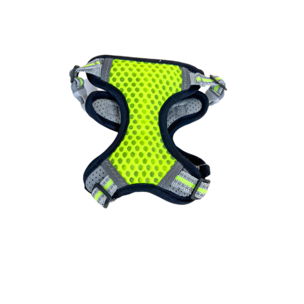 Postroj pro zviřata L - Obrázek 16