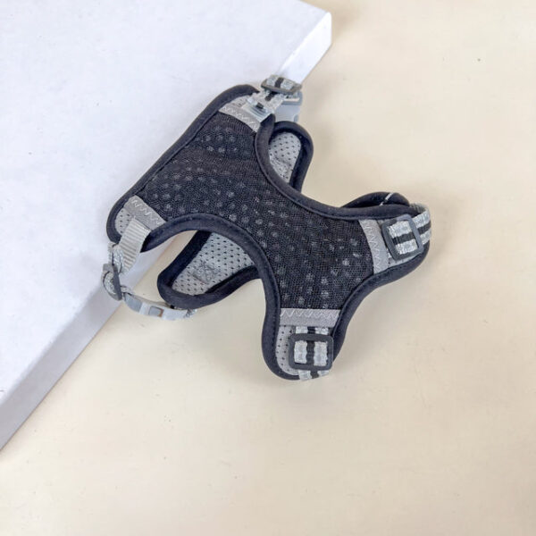 Postroj pro zviřata L - Obrázek 1