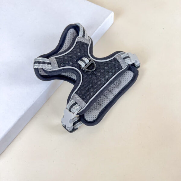 Postroj pro zviřata XS ( obvod krku 25cm, obvod těla 30cm) délka 15 cm - Obrázek 11