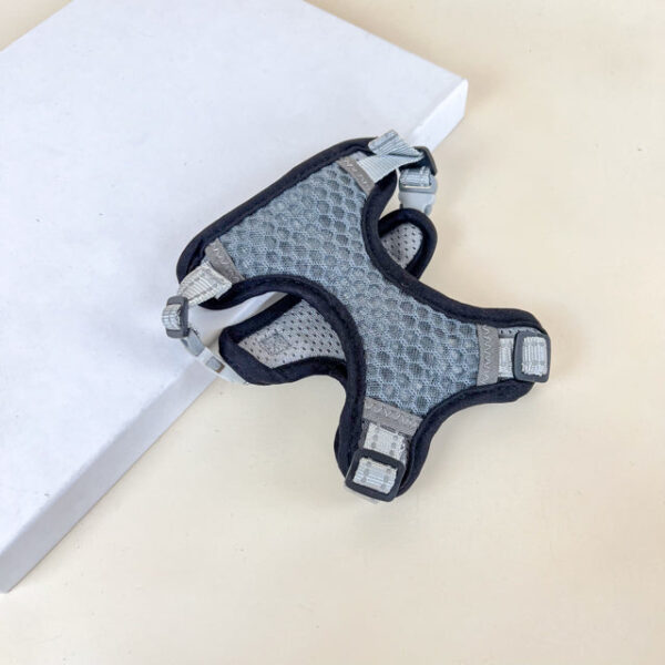 Postroj pro zviřata L - Obrázek 7