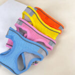 Postroj pro zviřata M ( nastavitelný obvod 30-40cm) délka 15cm - Obrázek 2