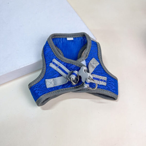 Postroj pro zvířata M - Obrázek 1