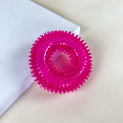 Pískací Kruh pro psy s bodlinami 12 cm