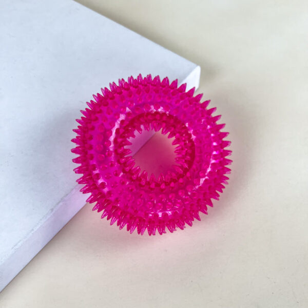 Pískací Kruh pro psy s bodlinami 12 cm - Obrázek 1