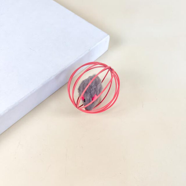 Kovová klec s myší uvnitř 6 cm - Obrázek 8