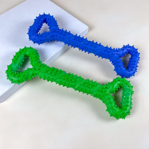 Dentální kost 33 x 11 cm - Obrázek 2