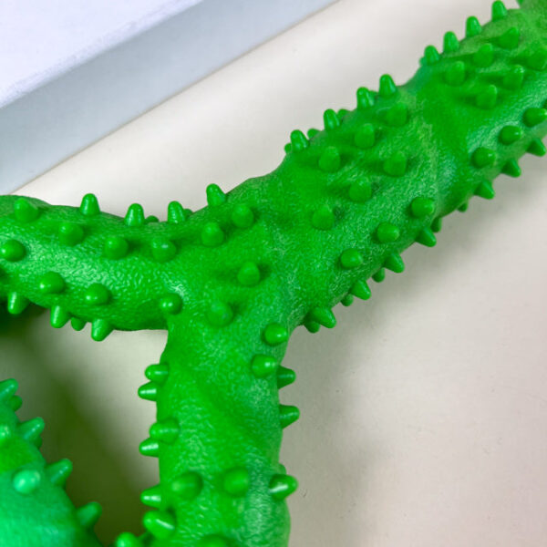 Dentální kost 33 x 11 cm - Obrázek 4