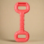 Pískací kost na pamlsky 28x11 cm