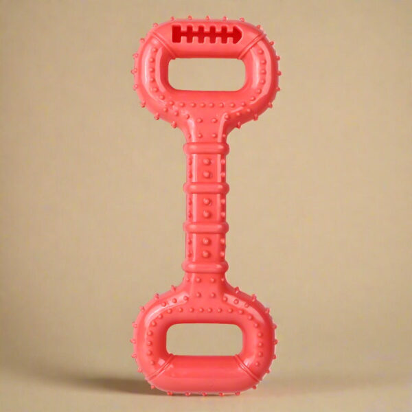 Pískací kost na pamlsky 28x11 cm - Obrázek 1